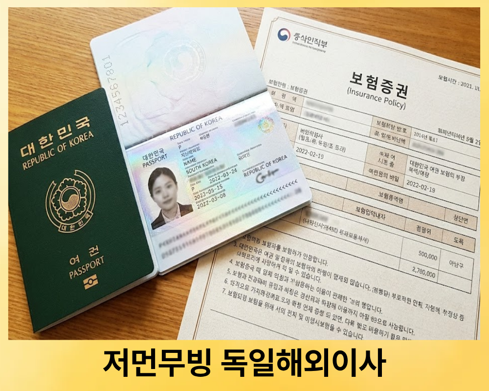 독일 이사 비용 100만 원 아끼는 법: 안멜둥(Anmeldung)과 세관 통관의 비밀