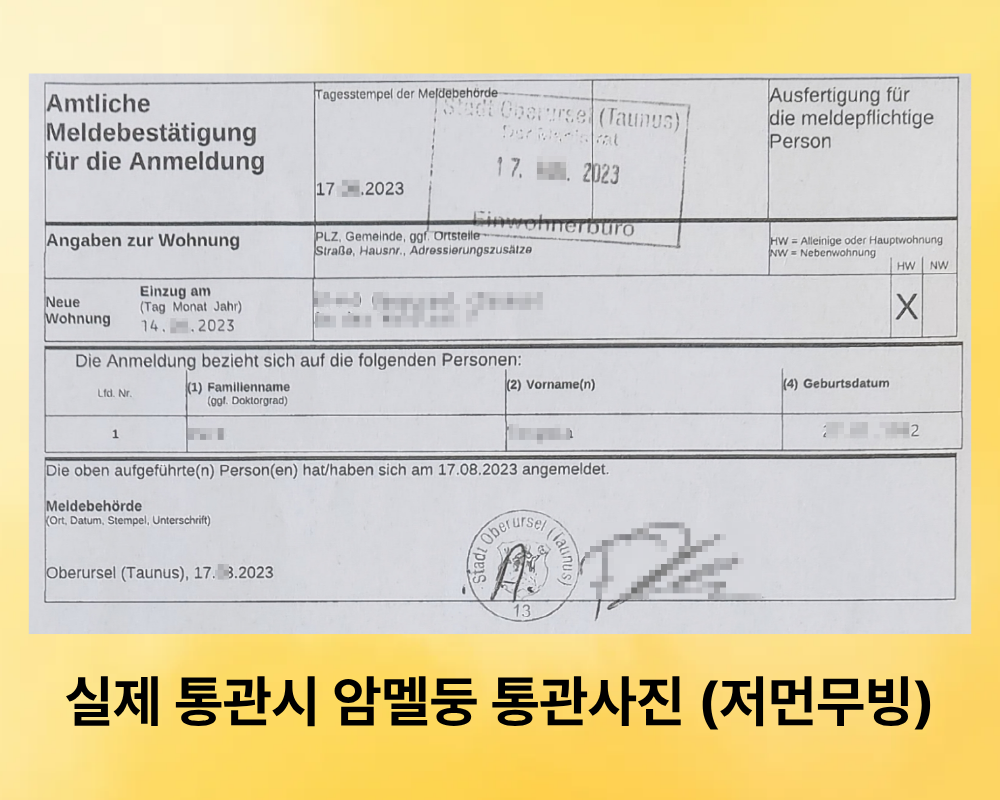 독일 이사 비용 100만 원 아끼는 법: 안멜둥(Anmeldung)과 세관 통관의 비밀